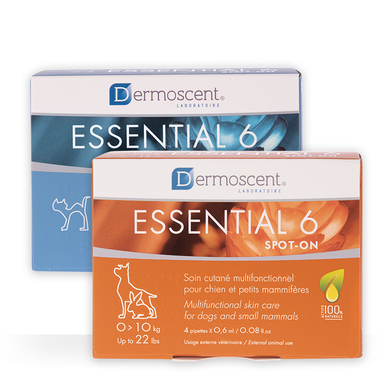 Dermoscent Essential 6® spot-on для собак на вес от 0-10 кг, 4 пипетки. Средство для ухода за кожей и шерстью.((LDCA), Франция.)