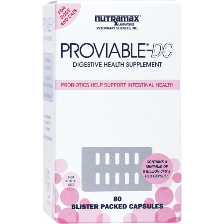 Proviable-DC for Dogs and Cats Пробиотик для собак и кошек, 80 капс. (США) Nutramax Laboratories, Inc.